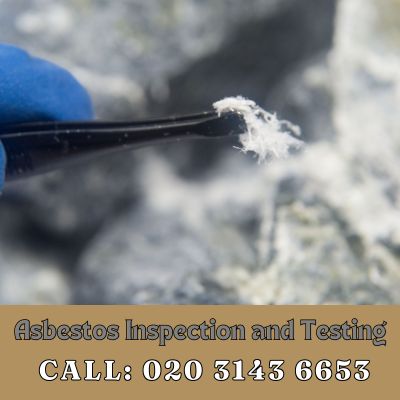 Comprehensive Asbestos Inspection and Testing Services in Stanmore